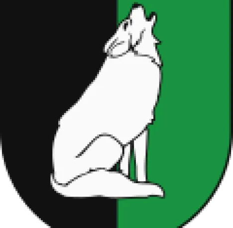 Gmina Ulič