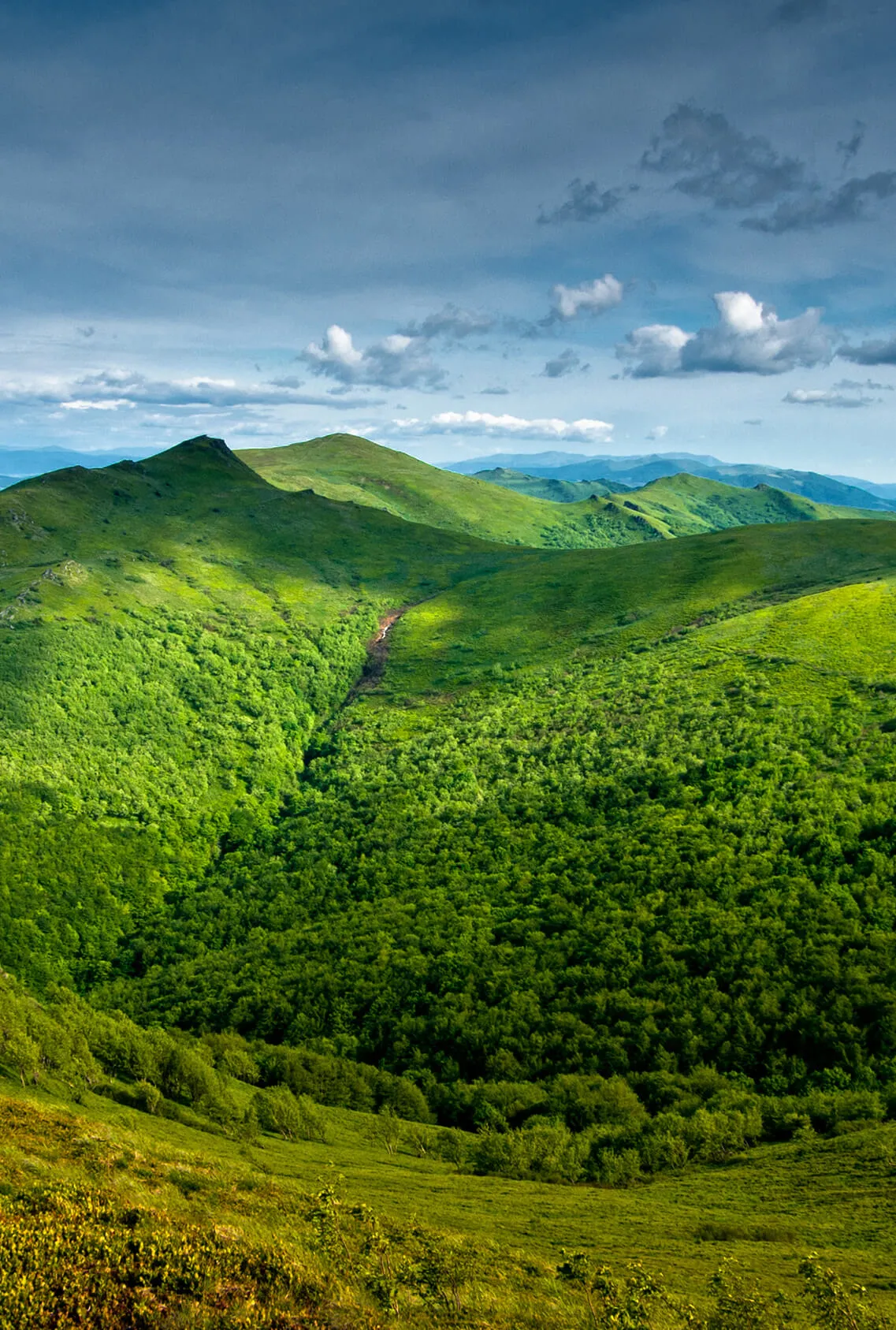 KRAJOBRAZ BIESZCZADY 2 v2