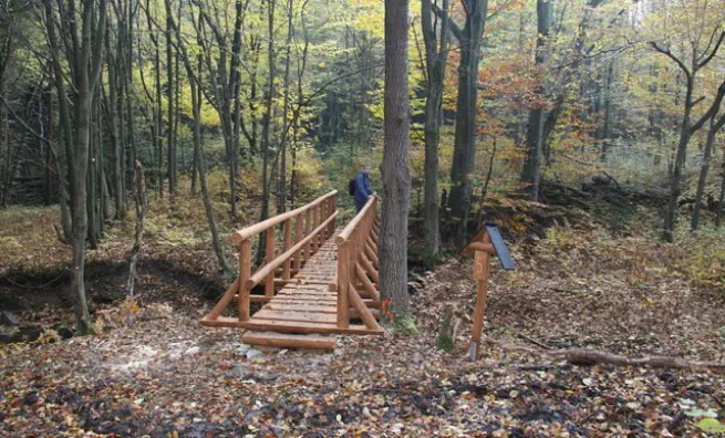 Over the hill to the neighbor