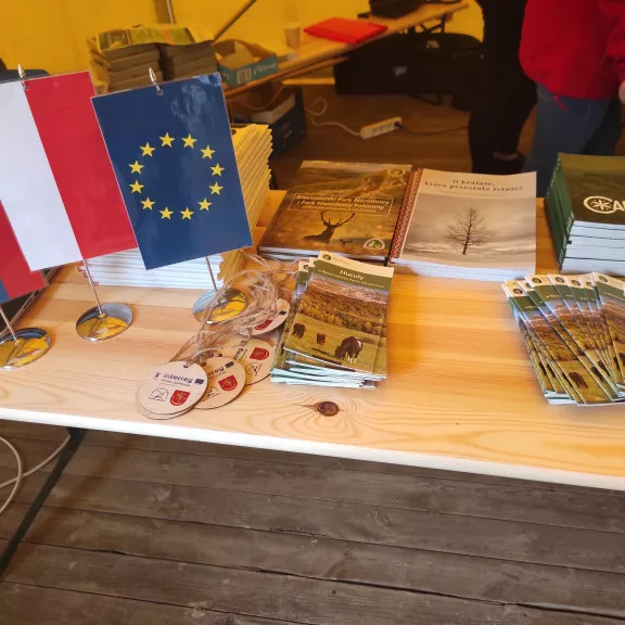 Festiwal Lutowiska 3