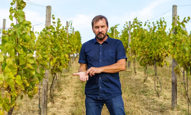 Carpathian Media Laboratory