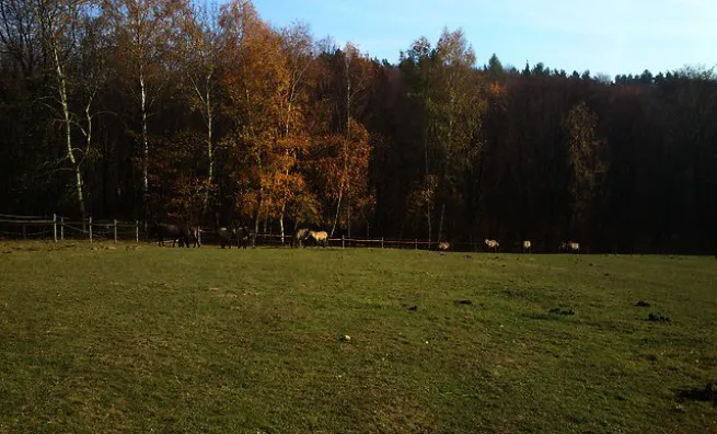 Polsko-słowacki Ośrodek Jeździectwa i Turystyki Konnej