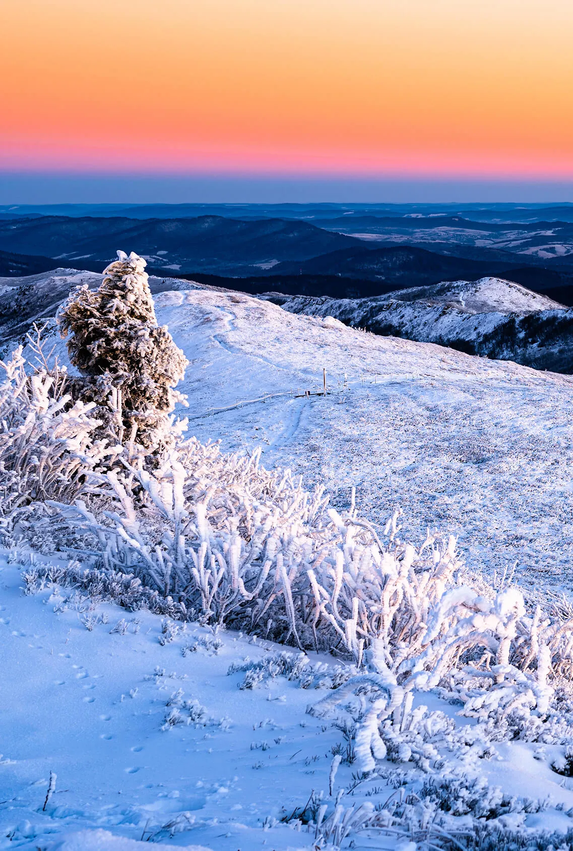 BIESZCZADY ZIMA pion