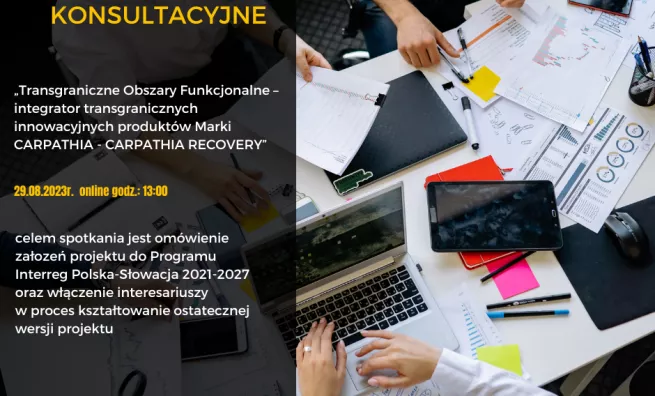 spotkanie konsultacyjne online - proces partycypacji 